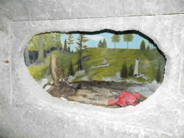 Underground Forest - Summer 2013 From Ron Gross (newer photo)